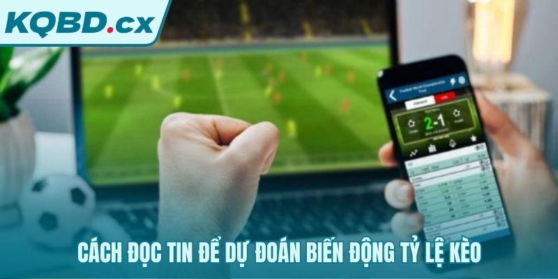 Liên kết tin bóng đá dự đoán biến động tỷ lệ kèo