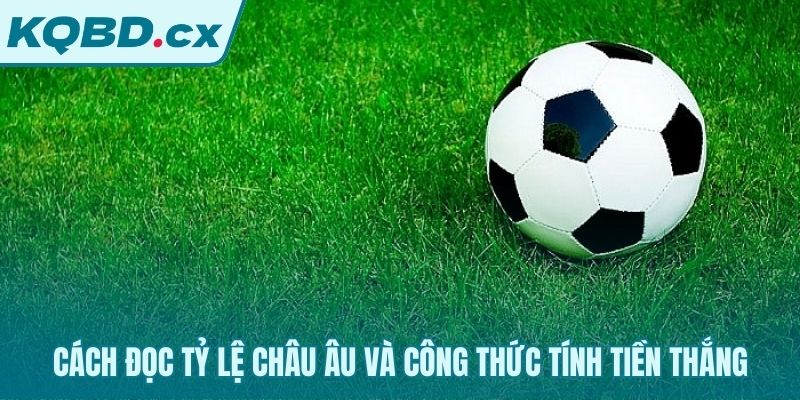 Đọc tỷ lệ 1X2 và áp dụng công thức tính tiền thắng
