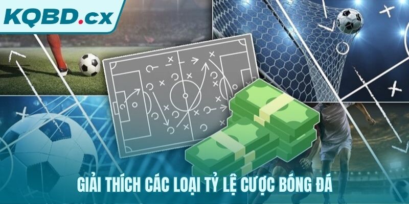 Hiểu rõ các loại cược để phân tích thị trường chính xác