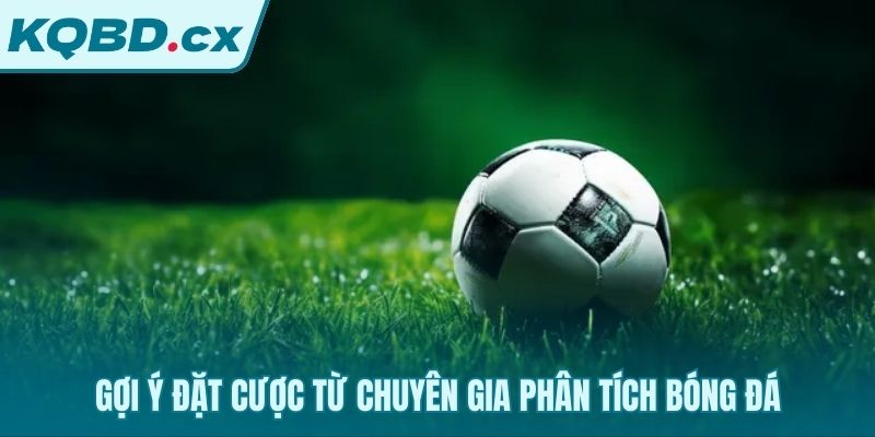 Dữ liệu phân tích hé lộ những lựa chọn cược tiềm năng