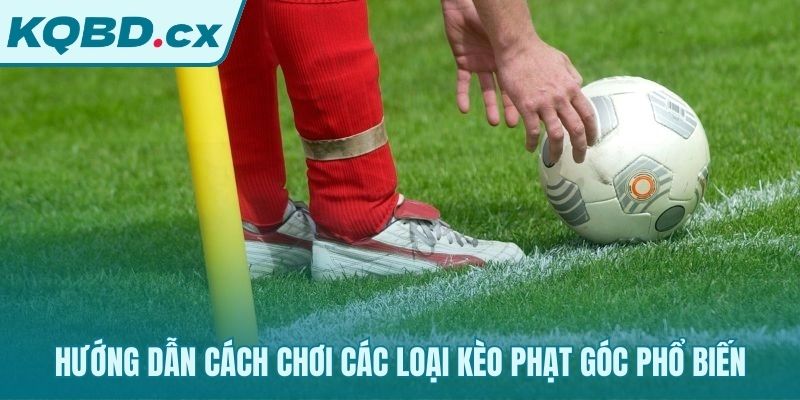 Hướng dẫn chi tiết cách đọc các loại kèo phạt góc phổ biến nhất