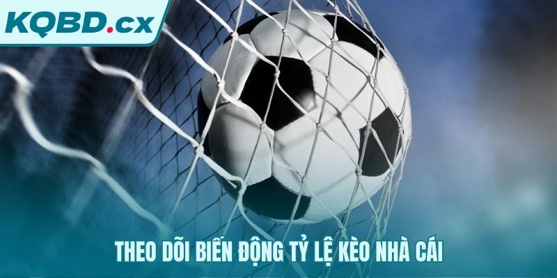 Kinh nghiệm soi kèo qua phân tích biến động tỷ lệ cược