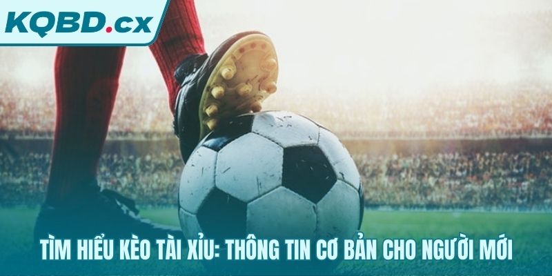 Kèo tài xỉu dự đoán tổng bàn thắng không cần đội thắng